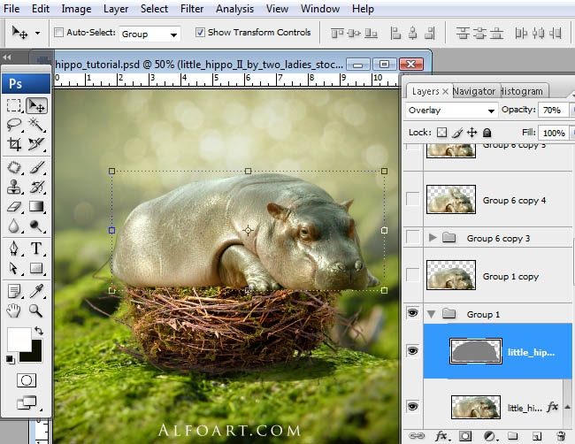 hippo, photoshop, nest, egg, shell, flying hippo, cute, baby, wings, hippopotamus, feathers